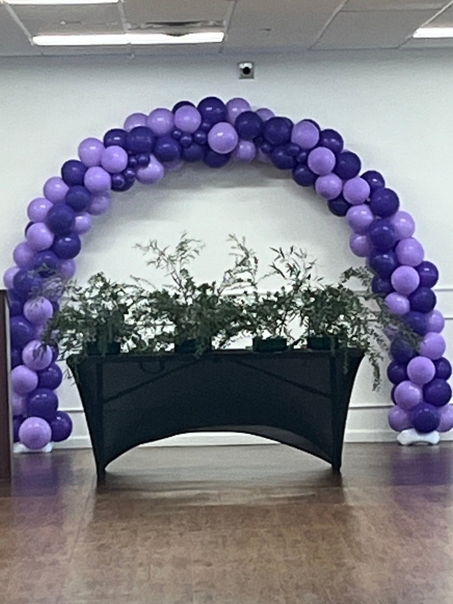 Balloon Arches